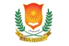 Online Jaipur National University Logo